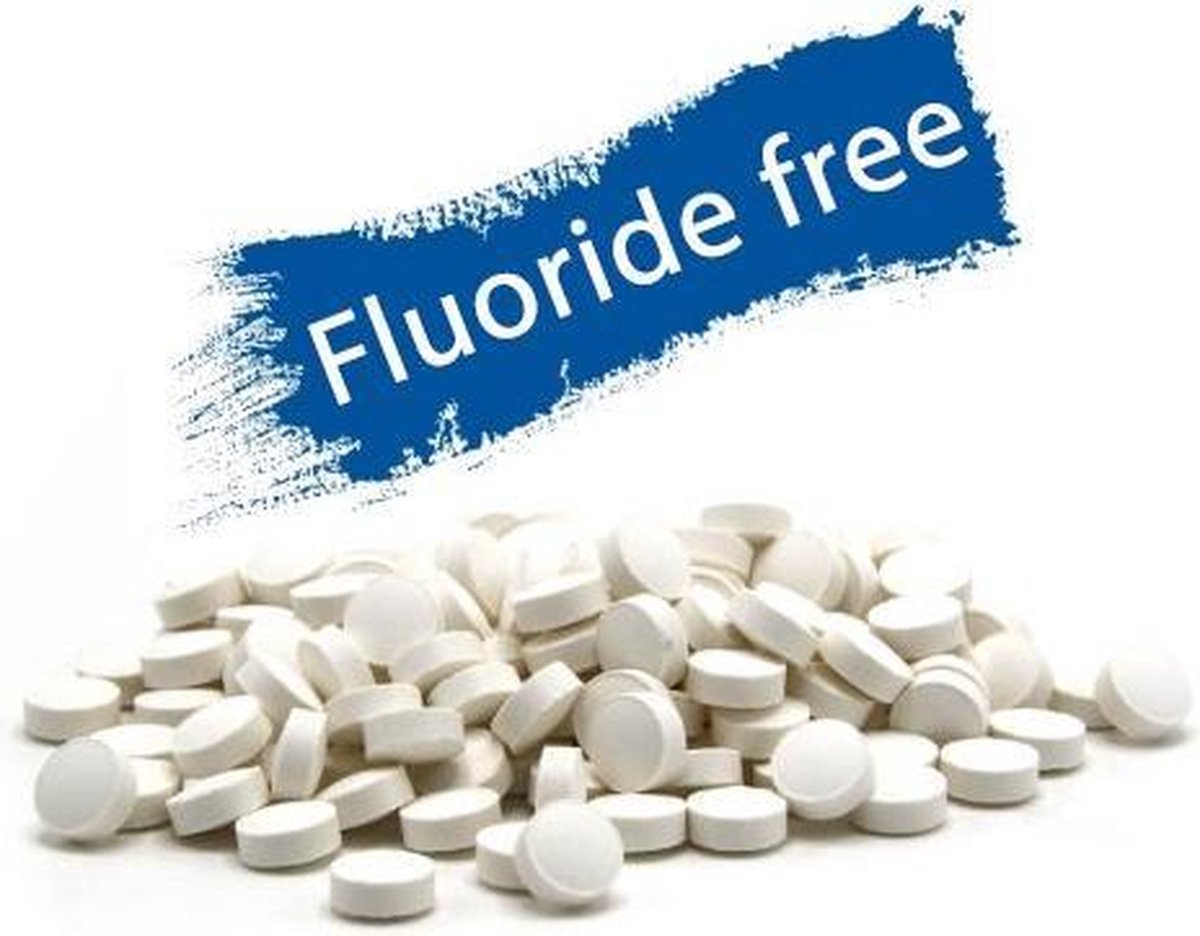 Tandenpoetstabletten zonder fluoride 1 kg - Holyflavours
