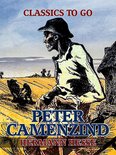 Classics To Go - Peter Camenzind