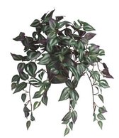 Kunstplant - In Pot - Tradescantia Zebrina - In cadeauverpakking met gekleurd lint