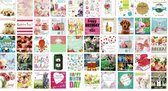 50 Cards & Crafts Felicitatie Wenskaarten - Verjaardag - 11x12cm - Gevouwen kaarten met enveloppen