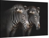 Zebra koppel op zwarte achtergrond - Foto op Canvas - 90 x 60 cm