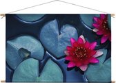 Waterlelie | 90 x 60 CM | Natuur |Schilderij | Textieldoek | Textielposter | Wanddecoratie