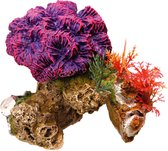 Aqua deco koraal steen 13x10x12cm