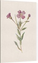 Harig Wilgenroosje (Greater Willow Herb) - Foto op Canvas - 30 x 45 cm