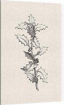 Ilex Hulst zwart-wit (Holly Branch) - Foto op Canvas - 40 x 60 cm