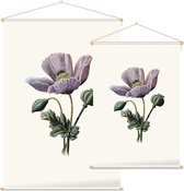 Slaapbol (Poppy White) - Foto op Textielposter - 90 x 135 cm