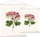 Geranium Aquarel (Pelargonium) - Foto op Textielposter - 45 x 60 cm