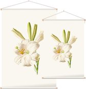 Madonnalelie (White Lily) - Foto op Textielposter - 90 x 135 cm