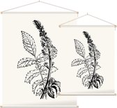 Agrimonie zwart-wit (Agrimony) - Foto op Textielposter - 90 x 120 cm