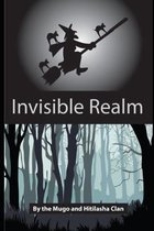 Invisible Realm