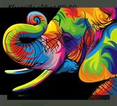 Diamond Painting regenboog olifant kleurrijk 40x50 Vierkante steentjes