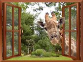 Diamond painting Volwassenen - Giraf met ramen - 70x50 cm - Hobbypakket - Volledig te beplakken - Vierkante steentjes