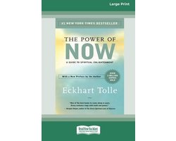Omslag van The Power of Now