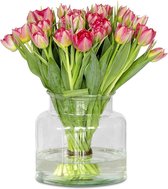 Roze (dubbel) tulpen - 12 stuks