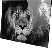 Top Media Groep - Schilderij - Leeuw Bruine Ogen Leeuw Lion Natuur - Zwart En Wit - 60 X 90 Cm