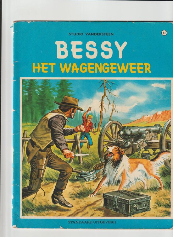 9789002117909 - Het wagengeweer