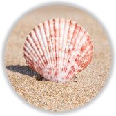 Wandcirkel Seashell