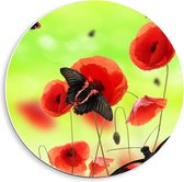 Forex Wandcirkel - Rood met zwarte Vlinder op Bloem - 40x40cm Foto op Wandcirkel (met ophangsysteem)