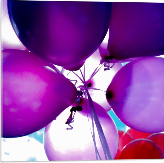 Acrylglas - Paarse Ballonnen in de Lucht - 50x50cm Foto op Acrylglas (Met Ophangsysteem)