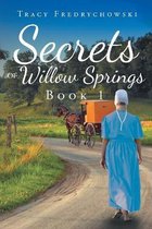 Secrets of Willow Springs