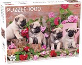 Puzzel Puppy Pugs 1000 Stukjes