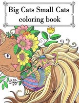Big Cat Small Cat Coloring Book