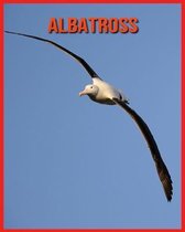 Albatross