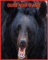 Ours Noir d'Asie