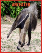 Anteater