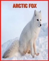 Arctic Fox