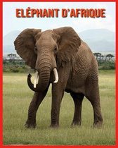 Elephant d'Afrique