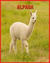 Alpaga