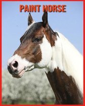 Paint Horse