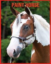 Paint Horse