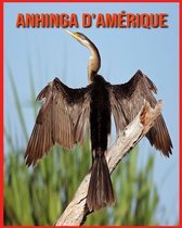 Anhinga d'Amerique