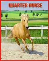 Quarter Horse