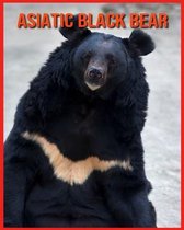 Asiatic Black Bear