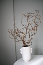 Siertakken - Paas takken Corylus - Paasdecoratie - Pasen - 80cm - 5 tak