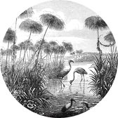 Muursticker Flamingo birds from Brockhaus Konversations-Lexikon 1908 -Ø 130 cm