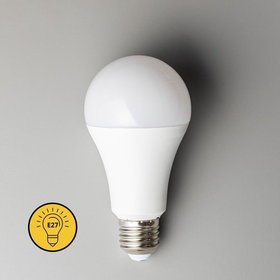 cafe Nauwgezet ethisch Lampe LED Proventa Longlife avec grand culot E27 - ⌀ 60 mm - 1 x lampe LED  A60 | bol.com