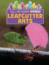 Leafcutter Ants