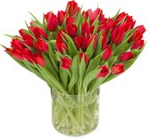 Rode Tulpen Boeket - 30 Tulpen - Gratis Verzending