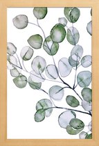 JUNIQE - Poster in houten lijst Eucalyptus aquarel -40x60 /Groen & Wit