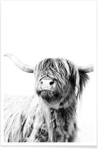 JUNIQE - Poster Highland Cattle Frida 2 -60x90 /Grijs & Wit