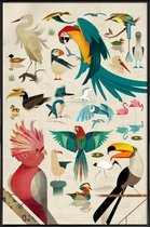 JUNIQE - Poster in kunststof lijst Vintage vogels -20x30 /Kleurrijk