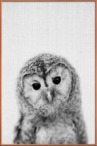 JUNIQE - Poster met kunststof lijst Uil zwart-wit foto -40x60 /Grijs &