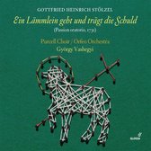Purcell Choir, Orfeo Orchestra, György Vashegyi - Stölzel: Ein Lammlein Geht Und Tragt Die Schuld (CD)