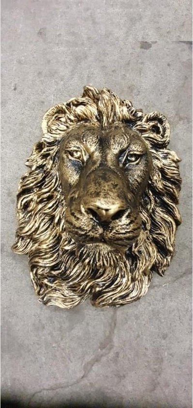 Bronzen leeuwenkop wanddecoratie met weelderige manen.