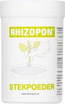 Rhizopon Chryzotop Vert 0,25% 20 GRAMMES