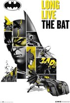 Grupo Erik DC Comics 80 Anniversary Batman  Poster - 61x91,5cm